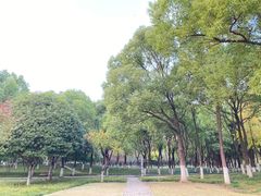 -后襄河公园