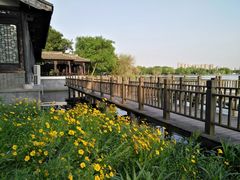 -高子水居