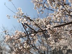-龙美术馆(西岸馆)