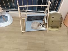 -唐小姐の私宠·宠物洗护美容·撸猫馆·购宠(周浦万达旗舰店)