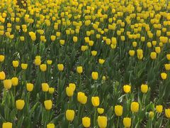 -长春公园(普阳街道)