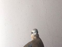 -雨林宠物医院·异宠专科(浦东分院)