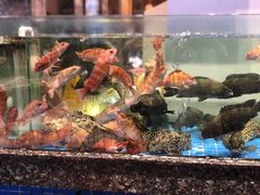 -聚福宝合苑食府(南头镇店)