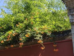 -西安市广仁寺