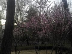 -迎泽公园