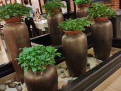 -金春禧(世茂国际广场店)