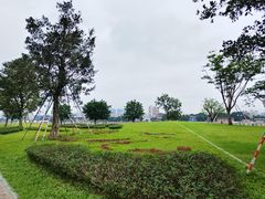 -洲头咀公园