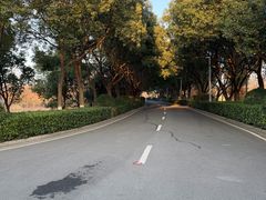 -羊山湖公园