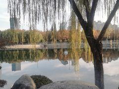 -后襄河公园