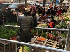 -宝鸡东道花鸟鱼虫市场(吉利花园商场店)