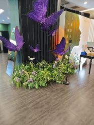 -苏州奥拉克美容医院