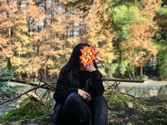 -桤木河湿地公园