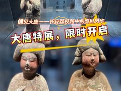 -西安大唐西市博物馆