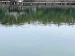 -台州府城(东湖)
