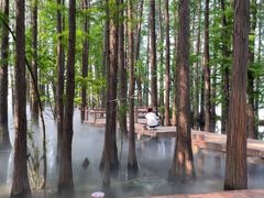 -东湖落雁景区