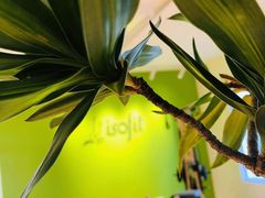 -Isofit 普拉提·婵柔工作室