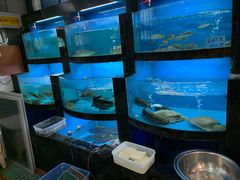 水产区-桐庐土菜馆·传承经典土菜