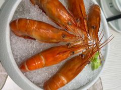 -大树餐厅(环球港店)