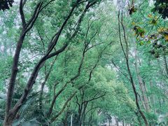 -春兰国宾馆(凤城河风景区老街店)