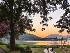 -风云岭森林公园