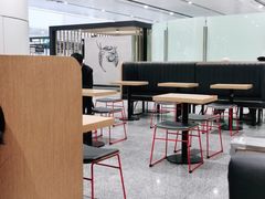 大堂-麦当劳(北京大兴机场二层国内到达(安检外)店)