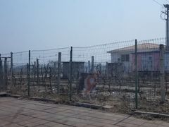 -杨柳青园艺科技博览园