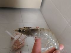-鑫朱雀农贸批发市场-地下停车场
