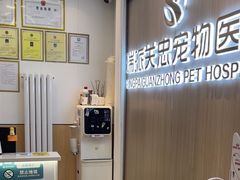 -瑞派·关忠动物医院·猫专科·犬专科(三环新城店)