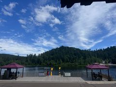 -五营红松林海景区