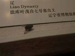 android_upload_pic-辽宁省博物馆