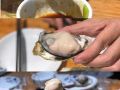 优质生蚝-陈记高压锅鱼头·生蚝