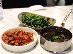 -MR鹅外