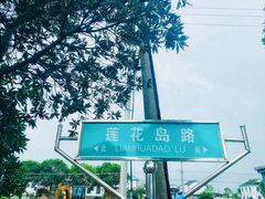-莲花岛景区