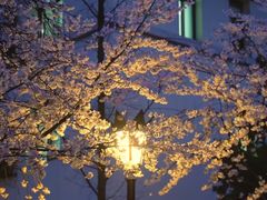-鸡鸣寺