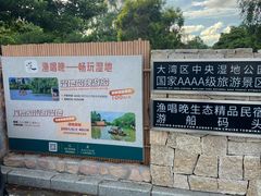 -大湾区中央湿地公园-十九涌