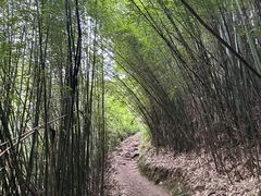 -井空里大峡谷