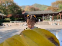 -杭州半山国家森林公园