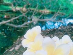 -晓港公园