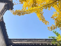 -乌镇东栅景区