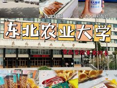 -东北农业大学
