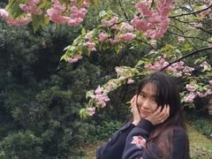 -南山植物园