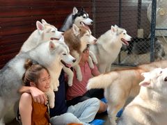 -TrueLove @ Neverland (Husky Cafe)