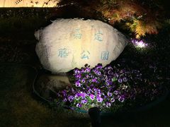 -嘉定紫藤园