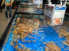 水产区-盒马鲜生(馥邦国际店)