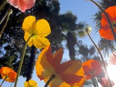 -怡得观滇餐厅·地道昆明菜·1996(海埂大坝店)