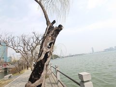-无锡蠡湖国家湿地公园-蠡园