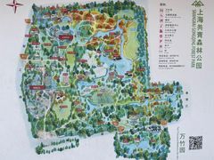 -上海共青森林公园