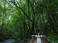 -叠溪松坪沟景区