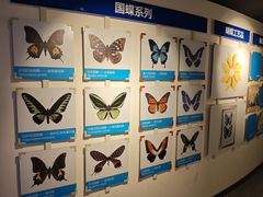 -吉林省自然博物馆