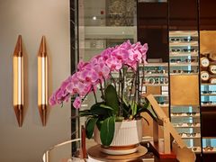 -LensCrafters亮视点·OAKLEY精选(静安嘉里中心店)